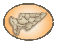 illustration of an arrowhead